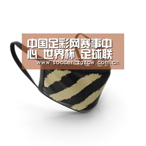 成人布口罩